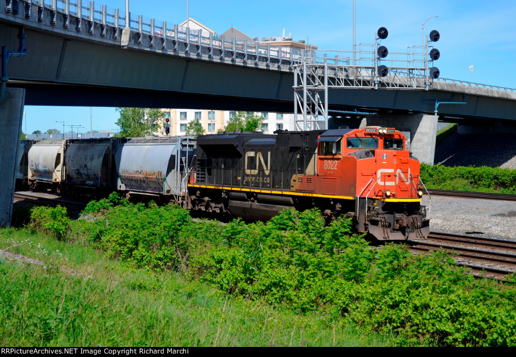 CN 8022